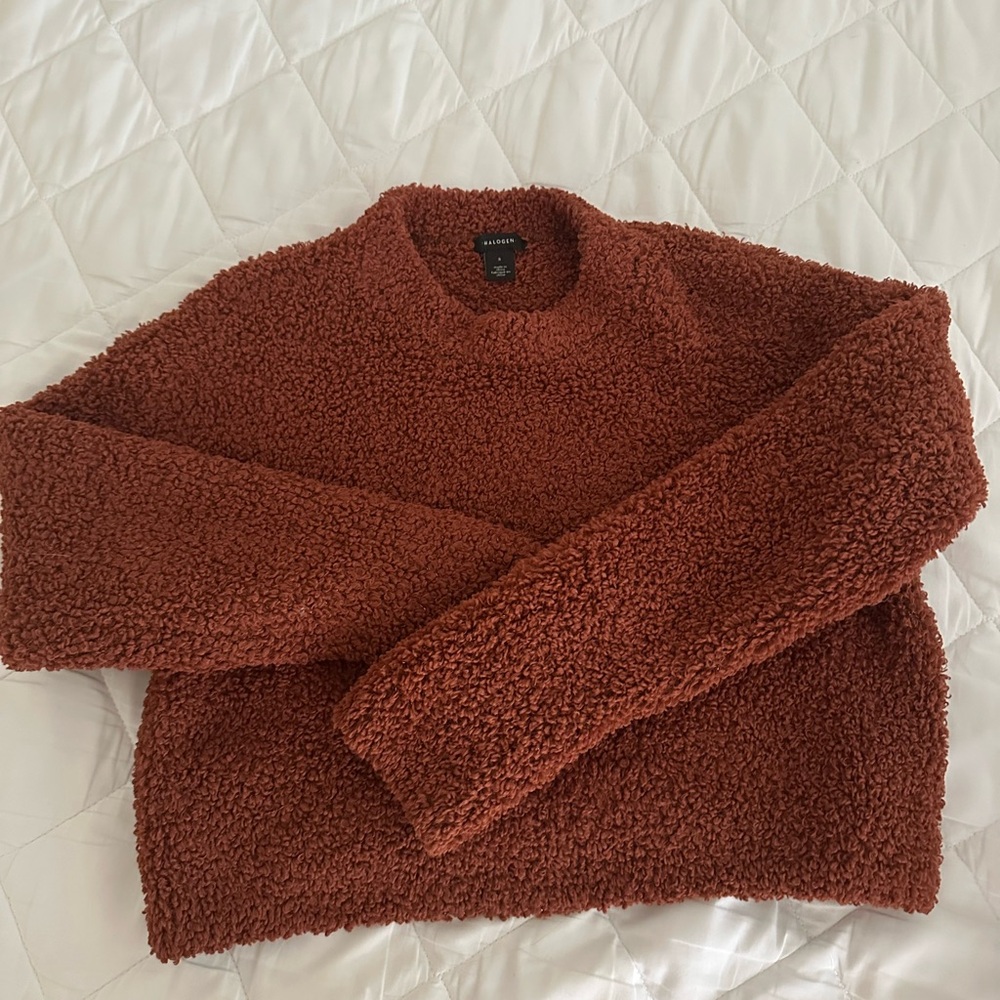 Halogen Warm Brown Crew Neck Sweater